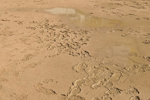 泥濘画像.jpg サイズ調整